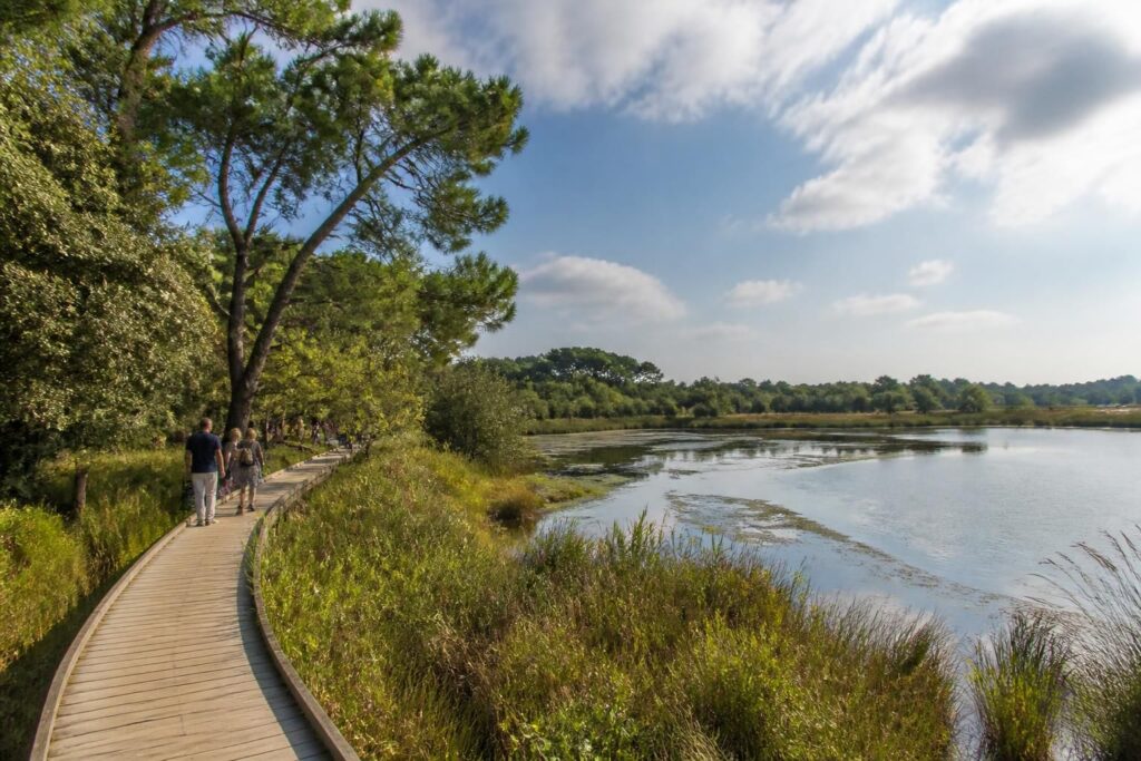 découvrez le domaine de certes à audenge, un site naturel exceptionnel. consultez nos tarifs et préparez votre visite pour profiter pleinement de la nature et des paysages préservés.
