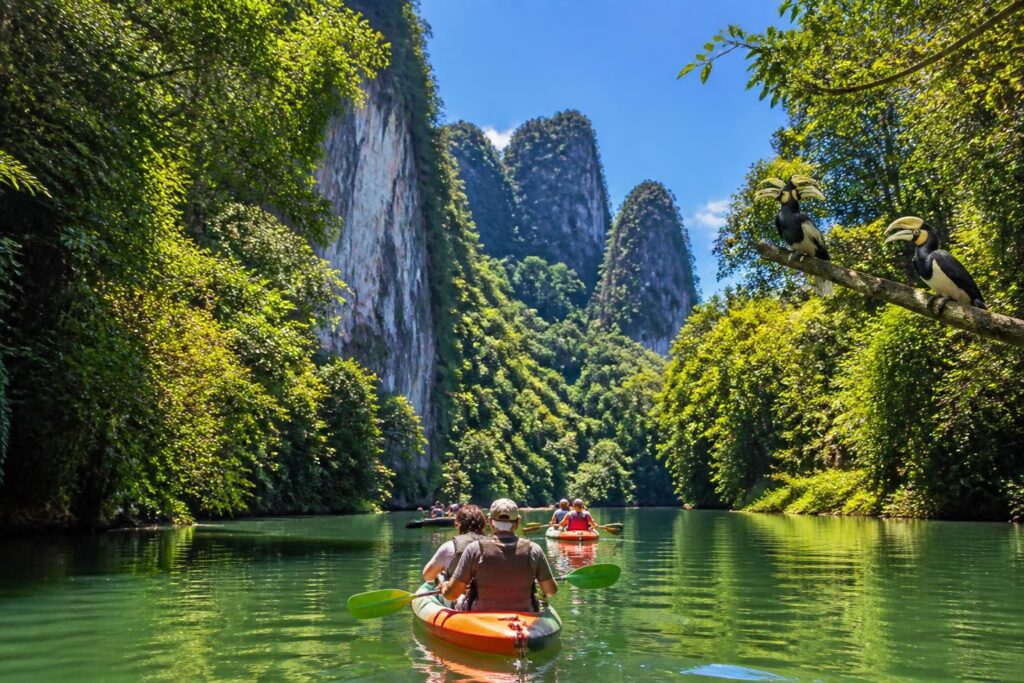 découvrez la beauté naturelle de khao sok avec nos excursions au départ de phuket, krabi et khao lak. explorez des circuits uniques au cœur de la jungle et des paysages époustouflants.